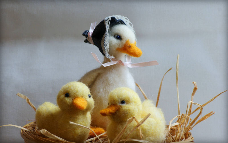 Duck Family